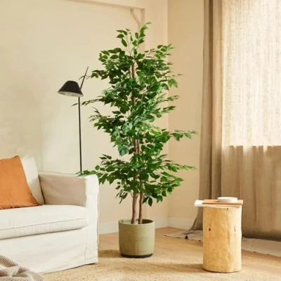 Afbeelding van BLAINE Ficus 150 cm kunstplanten voor binnen kunstplant buiten grote kunstboom