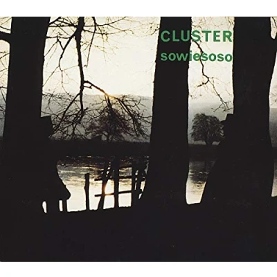 Afbeelding van Cluster Sowiesoso (CD)