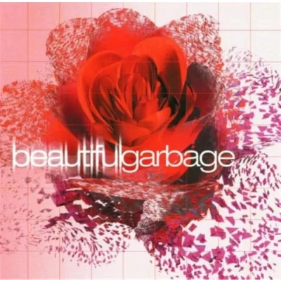 Afbeelding van Beautiful Garbage