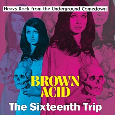 Afbeelding van Various Brown Acid: The Sixteenth Trip (VINYL LP)