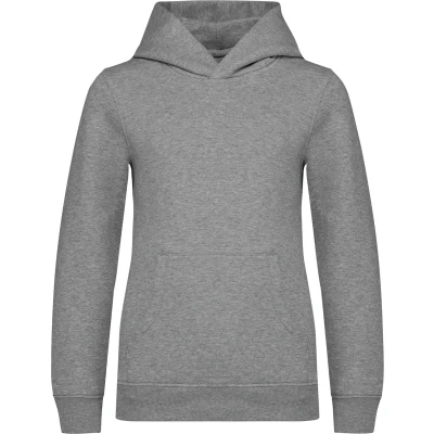 Afbeelding van Native Spirit Ecologische kindersweater met capuchon NS404 Moon Grey Heather