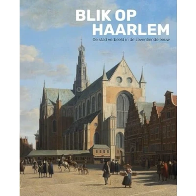 Afbeelding van Blik op Haarlem