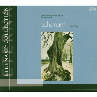 Afbeelding van Schumann: Papillons: Symphon.Etuden (CD)