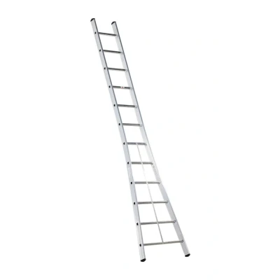 Afbeelding van Altrex 1 delige ladder Kibo 1x12 sporten