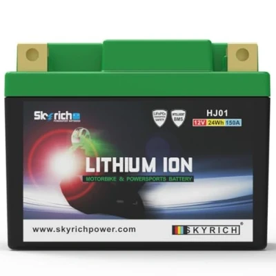 Afbeelding van Skyrich HJ01 startaccu