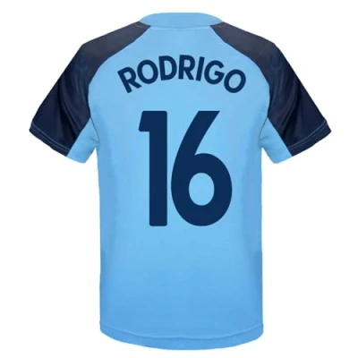 Afbeelding van Manchester City F.C. Trainingsshirt voor jongens, Hemelsblauw/wapen / Rodrigo 16
