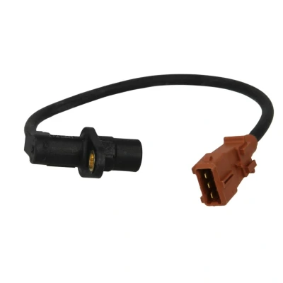 Afbeelding van Krukassensor DELPHI SS10736 12B1