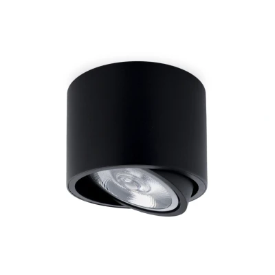 Afbeelding van Opbouwspot Rond AR111, Kantelbaar, GU10 Fitting, Mat Zwart