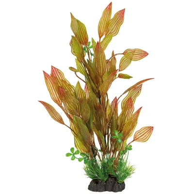 Afbeelding van Superfish Art plant Henkelianus 40cm
