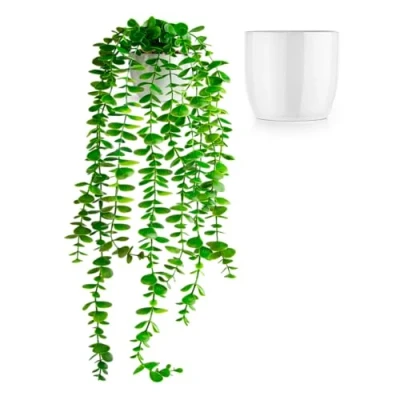Afbeelding van PASCH® kunstmatige eucalyptus (60 cm) in witte keramische pot: hangplanten kunstplanten als echte kunstplant