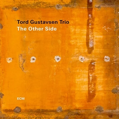 Afbeelding van Tord Trio Gustavsen Other Side (LP)