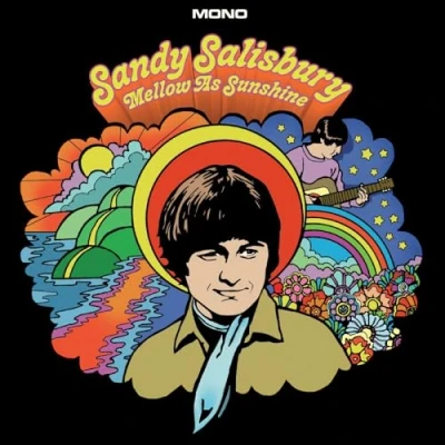 Afbeelding van Sandy Salisbury Mellow As Sunshine (LP)