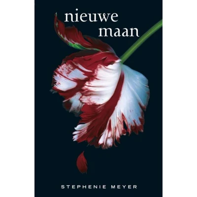 Image de Nieuwe maan