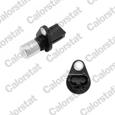 Afbeelding van CALORSTAT by Vernet CS0174 Impulsgever