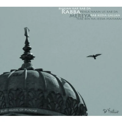 Afbeelding van Various Artists Rabba Mereya: Sufi Music Of Punjab (CD)