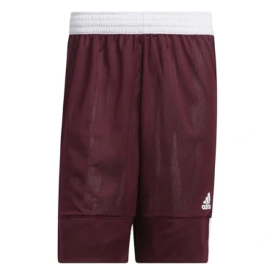 Afbeelding van adidas Spee Rev SHR herenshorts, bordeauxrood/wit, XL, granaat/wit, XL