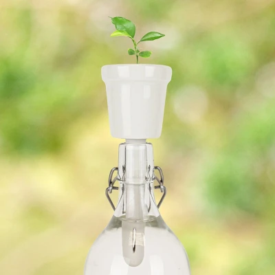 Afbeelding van Gift Republic Botanical Bottles Koffie