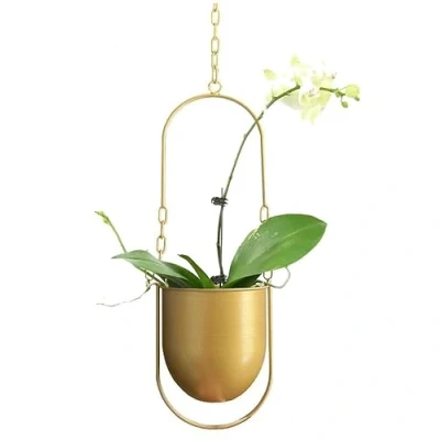 Afbeelding van Beihaoer Boho metalen hangende decoratie pot plafond mand kamerplanten plantenbak vetplanten luchtplanten cactus (goud)