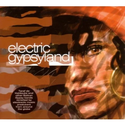Afbeelding van Various Artists Electric Gypsyland (LP)