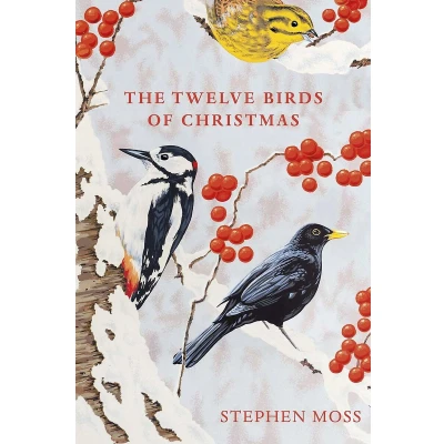 Afbeelding van The Twelve Birds of Christmas