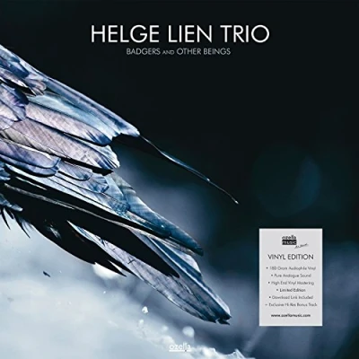 Afbeelding van Helge Trio Lien Badgers &amp; Other Beings (LP)
