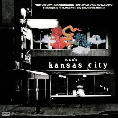 Image de Rhino The Velvet Underground Live At Max&#039;s Kansas City Lp