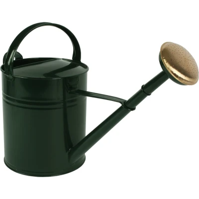 Afbeelding van Talen Tools Gieter 10 liter Metaal Groen