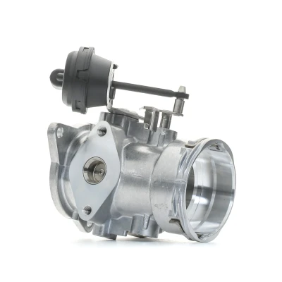 Afbeelding van EGR klep BorgWarner (Wahler) 7371D