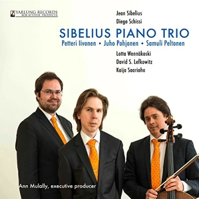 Afbeelding van Petteri Iivonen &amp; Juho Pohjonen Samuli Peltonen Sibelius Piano Trio (CD)