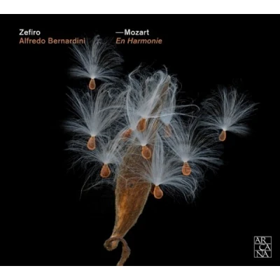 Afbeelding van Zefiro, Alfredo Bernardini Mozart: En Harmonie (CD)