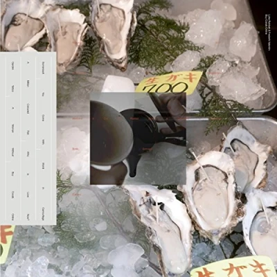 Afbeelding van Buy Corals Online