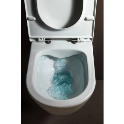 Afbeelding van LAUFEN Pro toiletzitting m.deksel/softclose