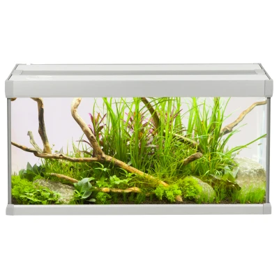 Afbeelding van Akvastabil Family Aquarium Aquaria 60x30x32 cm 54 l Grijs Wit
