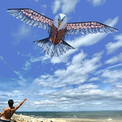 Afbeelding van 3D EAGLE KITE