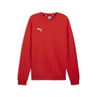 Afbeelding van PUMA Teamgoal Casuals Pull en tricot à col rond SWE pour homme