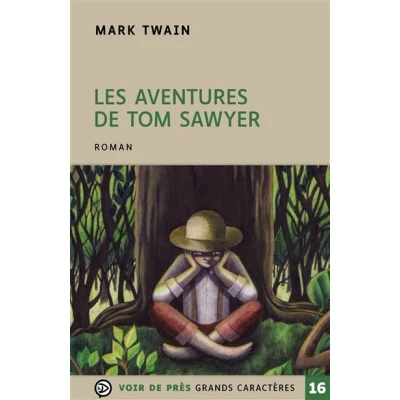 Image de Les aventures de tom sawyer
