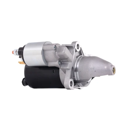 Afbeelding van Startmotor / Starter ELSTOCK 25 2131