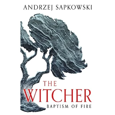 Afbeelding van Baptism of Fire