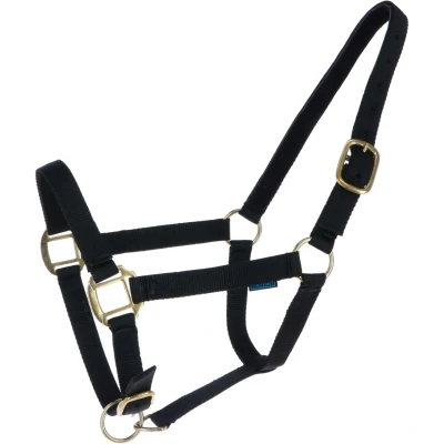 Afbeelding van Norton Halster Nylon met Leer Gevoerd Zwart Full