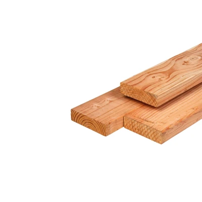 Afbeelding van Lariks/douglas Ligger Onbehandeld (Gedroogd) 4,5x16x300 cm