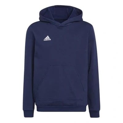 Image de adidas Mixte enfant Sweat à capuche Entrada 22 Hoodie, Team Navy Blue 2, 9 10 ans