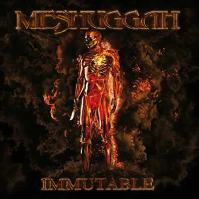 Afbeelding van Meshuggah Immutable (2 LPs)
