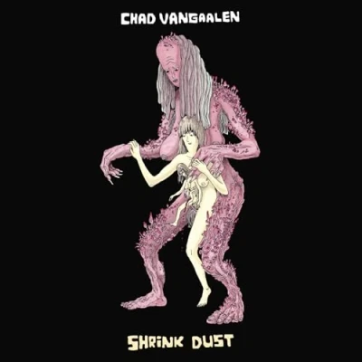 Afbeelding van Chad Vangaalen Shrink Dust (CD)