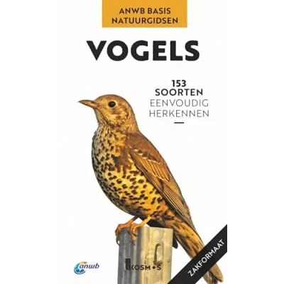 Afbeelding van ANWB Basis Natuurgids Vogels