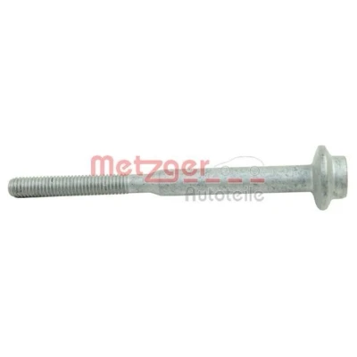 Afbeelding van METZGER 0870099S Schroef, inspuitstukhouder AUDI: A3 Sportback, A4 B8 Avant, Q5, VOLKSWAGEN: Sharan II, SEAT: Ibiza 4 Sportcoupe