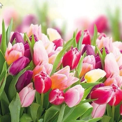Afbeelding van 20 stuks papieren servetten, motief: bloemen, weide, lente, zomer, tafeldecoratie 33 x cm