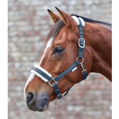 Afbeelding van Waldhausen Halter Elegant Paardenhalster Donkerblauw Cob