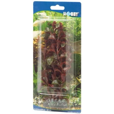 Afbeelding van Hobby Plant Rotala 16 Cm