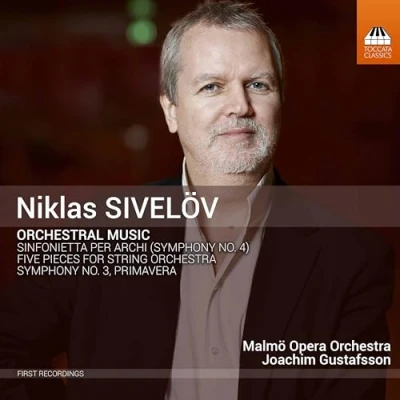 Afbeelding van Malmö Opera Orchestra, Joachim Gustafsson Niklas Sivelöv: Orchestral music (CD)