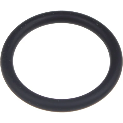Afbeelding van Karcher Baque d&#039;etancheite epdm 22x3 63634680